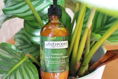 Ich stelle den Cleanser von Antipode vor